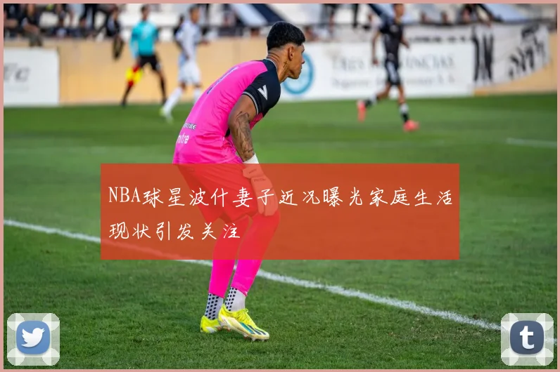 NBA球星波什妻子近况曝光家庭生活现状引发关注